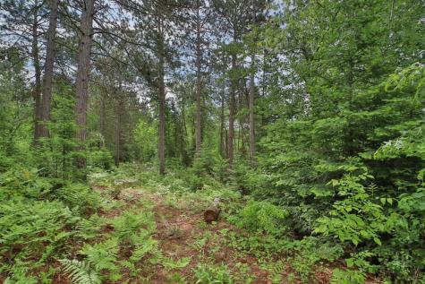 21097 Gilmer Road Crosby MN 56441