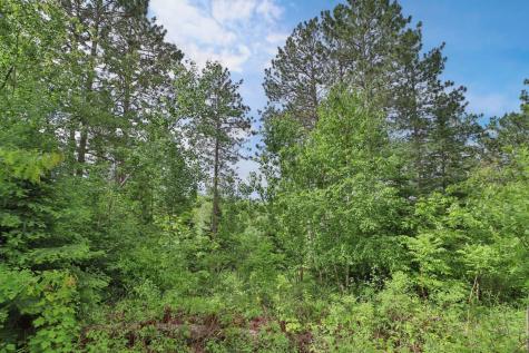 21097 Gilmer Road Crosby MN 56441