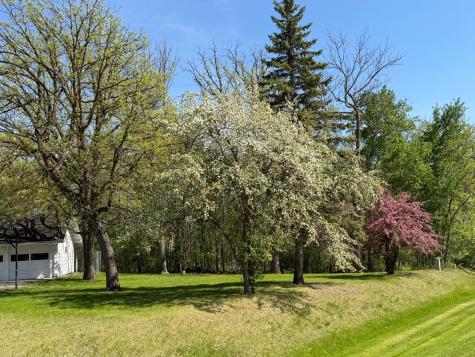 814 11th Avenue SE Roseau MN 56751