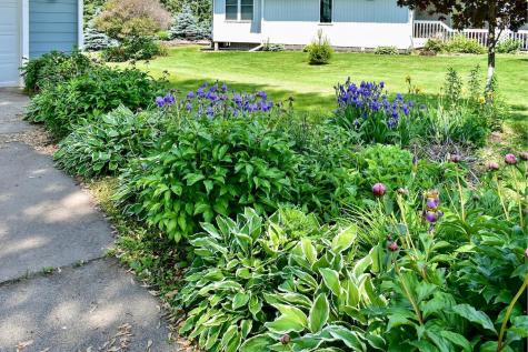 206 Skyline Heights Wabasha MN 55981