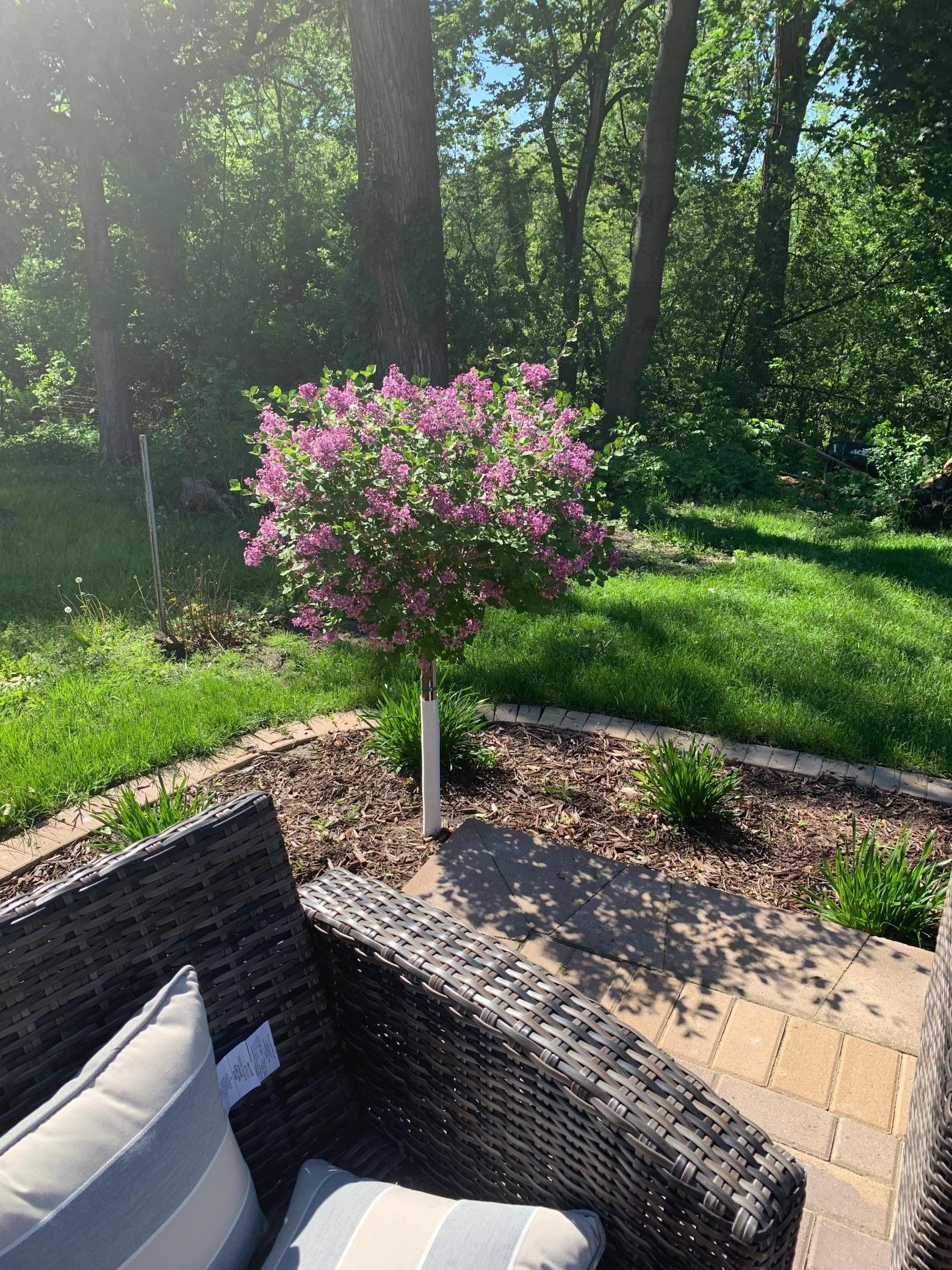 1522 Elm Street Albert Lea MN 56007