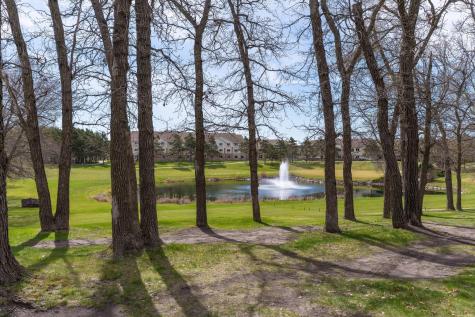 113 Spruce Trail Ottertail MN 56571