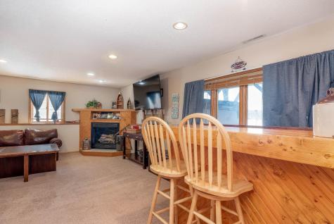 125 Willow Point Drive Elysian MN 56028