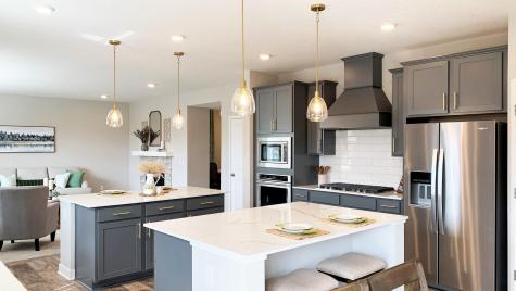 1728 Oak Creek Pass Chaska MN 55318