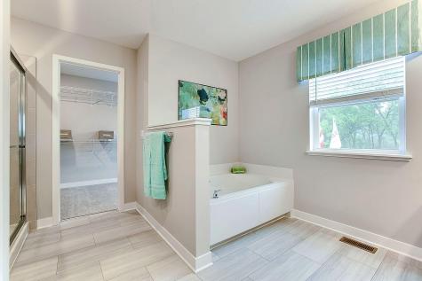 1728 Oak Creek Pass Chaska MN 55318