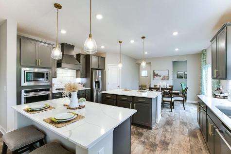 1728 Oak Creek Pass Chaska MN 55318