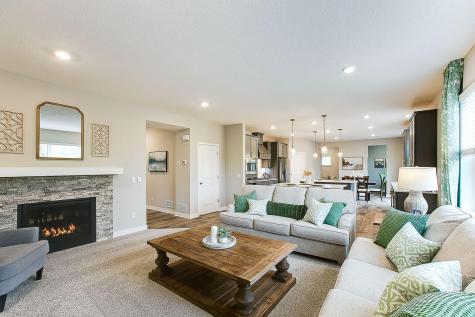 1728 Oak Creek Pass Chaska MN 55318
