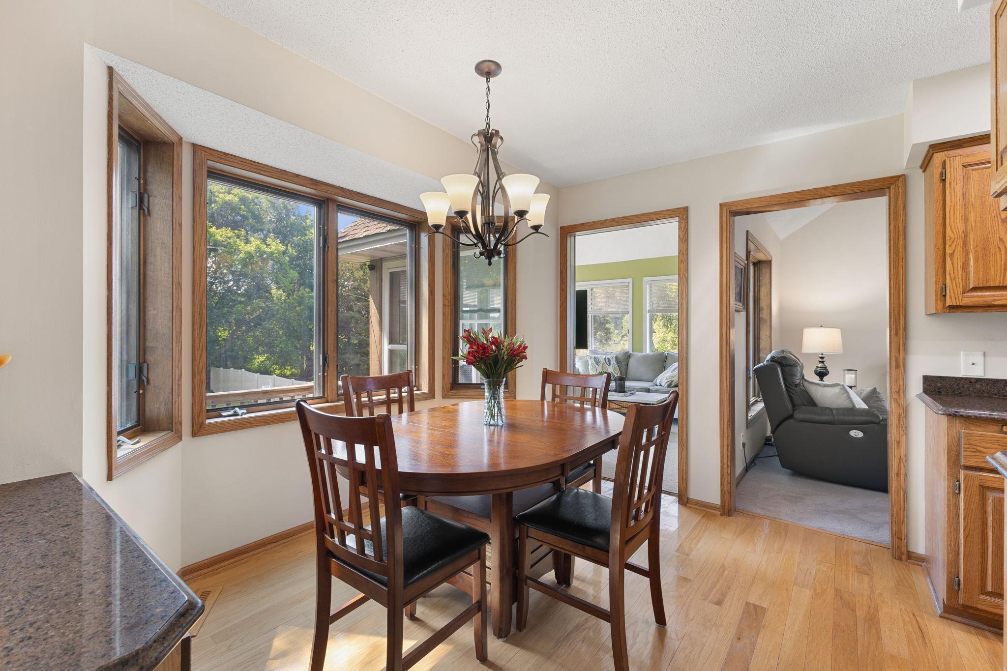 14023 Yellow Pine Street NW Andover MN 55304