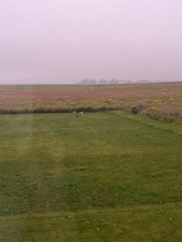 1800 20th Avenue Circle NE Kasson MN 55944