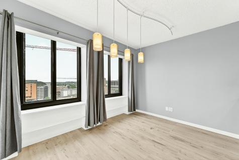 207 5th Avenue SW Rochester MN 55902