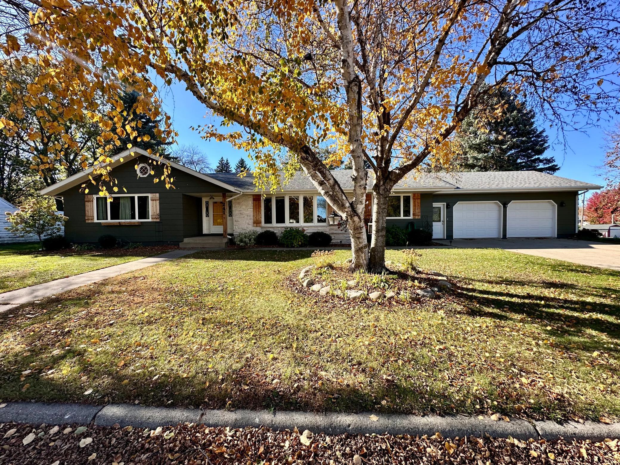 241 Maple Street N Balaton MN 56115
