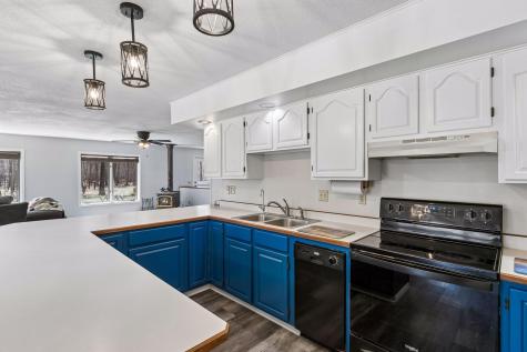 2180 E Bone Lake Lane Luck WI 54853