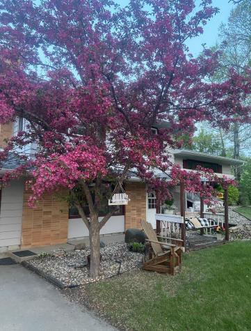 1807 N Mckay Avenue NE Alexandria MN 56308