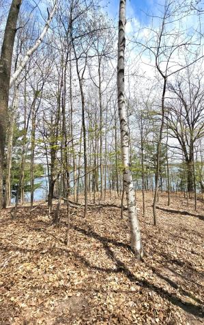 33660 368th Place Aitkin MN 56431
