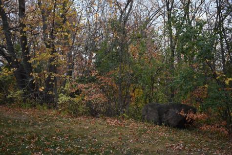 3354 Shorewood Drive SW Kensington MN 56343