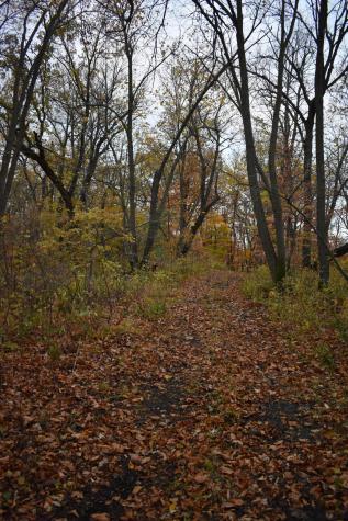 3354 Shorewood Drive SW Kensington MN 56343