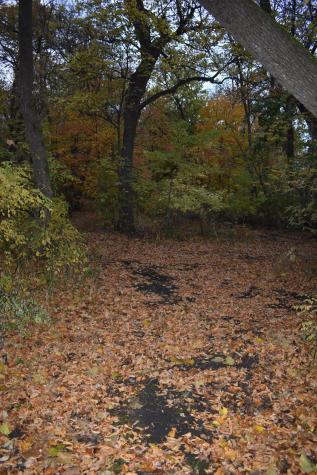 3354 Shorewood Drive SW Kensington MN 56343