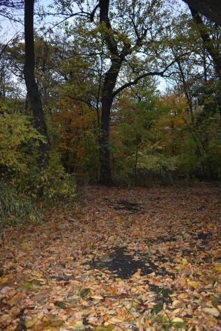 3354 Shorewood Drive SW Kensington MN 56343