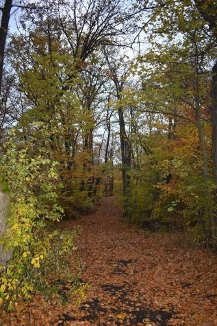 3354 Shorewood Drive SW Kensington MN 56343