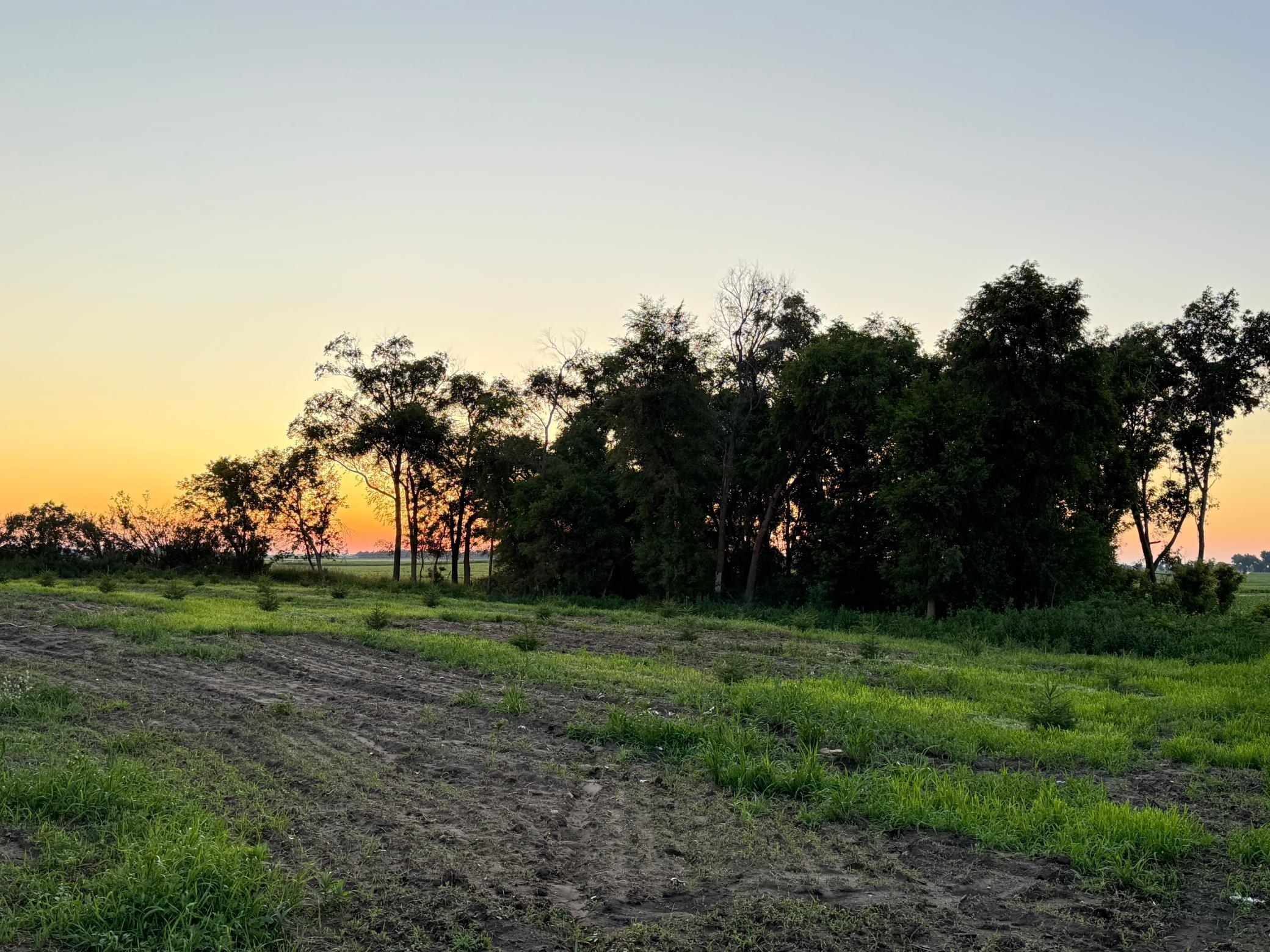 755 240th Avenue SW Appleton MN 56208