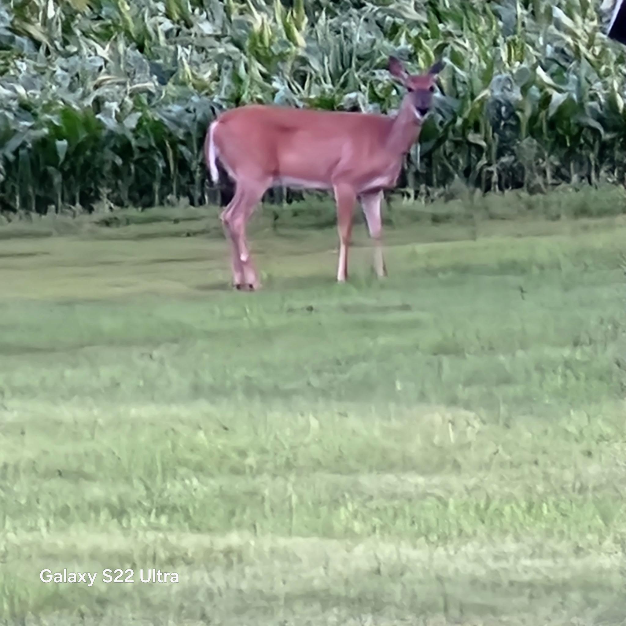 755 240th Avenue SW Appleton MN 56208