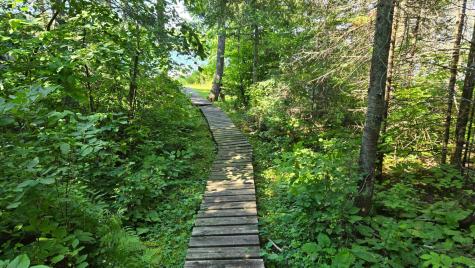 Tbd 33 Donovan Point Orr MN 55771