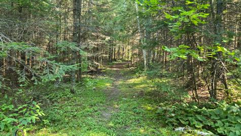 Tbd 33 Donovan Point Orr MN 55771