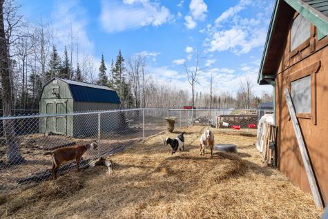 3521 Fire Trail Eveleth MN 55734