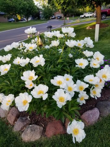 1564 Lamotte Circle Lino Lakes MN 55038