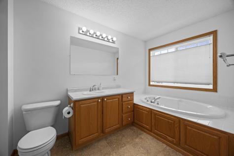 9804 Hamlet Lane S Cottage Grove MN 55016