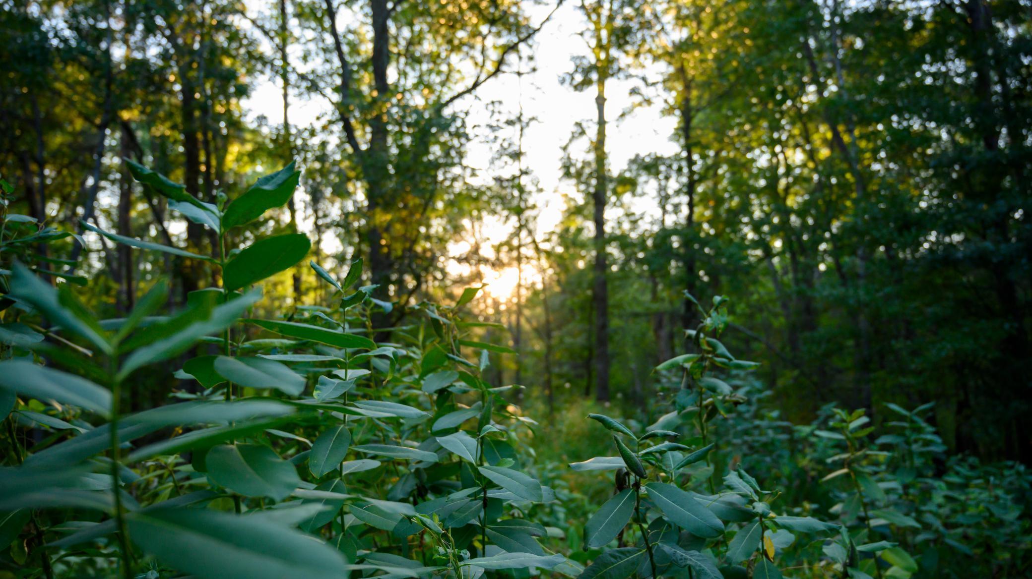 14936 Welton Road Baxter MN 56425