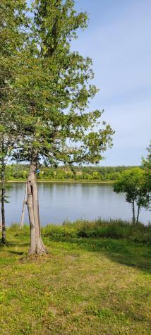1697 Town Road 112 Baudette MN 56623