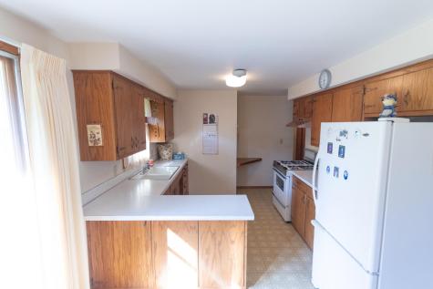 1208 Birch Hill Drive Albert Lea MN 56007