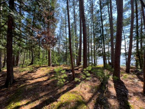 X Waters Island Ely MN 55731