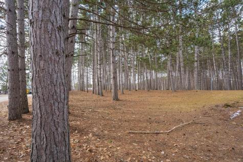 917 Sunrise Beach Drive Amery WI 54001