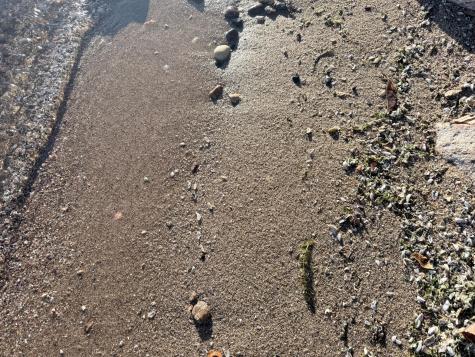 22558 Senns Beach Drive Dunn Twp MN 56501