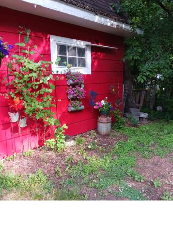 12623 Hillton Road Road Little Falls MN 56345