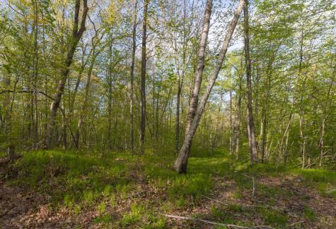 17549 295th Avenue Isle MN 56342