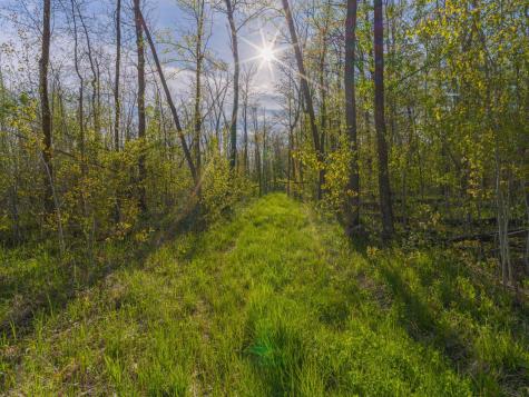 17549 295th Avenue Isle MN 56342