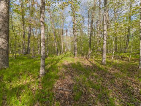 17549 295th Avenue Isle MN 56342