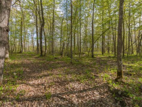 17549 295th Avenue Isle MN 56342
