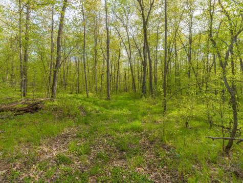 17549 295th Avenue Isle MN 56342
