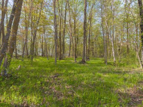 17549 295th Avenue Isle MN 56342
