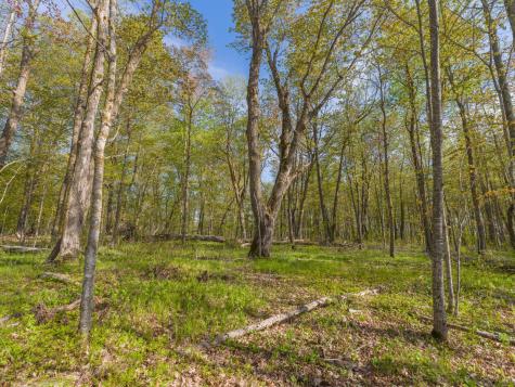 17549 295th Avenue Isle MN 56342