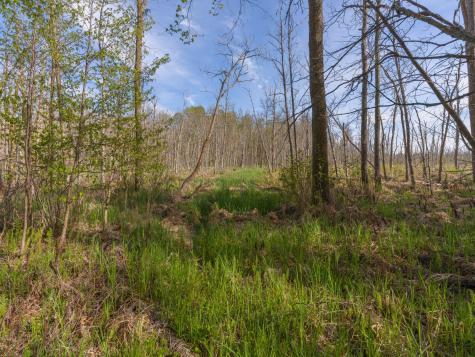 17549 295th Avenue Isle MN 56342