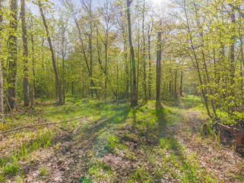 17549 295th Avenue Isle MN 56342