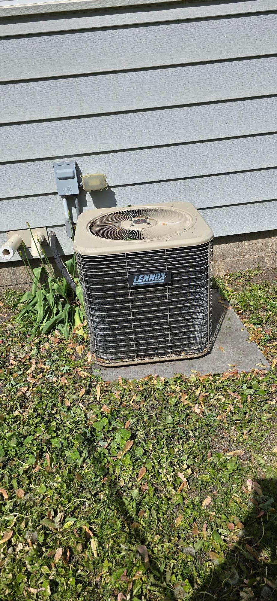 114 N 6th Avenue Albert Lea MN 56007