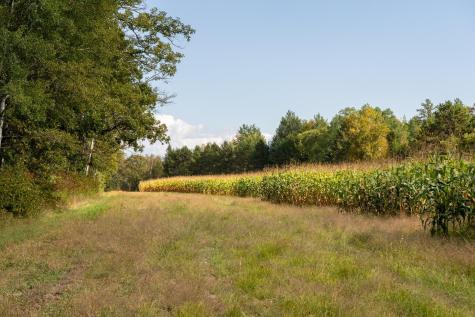 30968 State 200 Laporte MN 56461