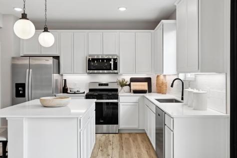 15027 Askeaton Place Rosemount MN 55068