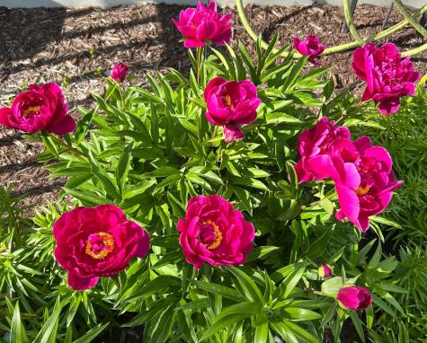 12615 S Abbey Lake Lane Detroit Lakes MN 56501